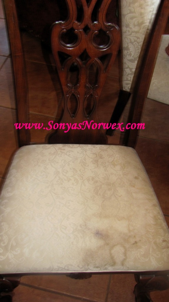 Dirty Upholstery? Norwex to the rescue!