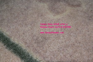 Stain GONE after Norwex Enviro Cloth & water!