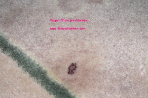 Carpet Stain BEFORE Norwex!