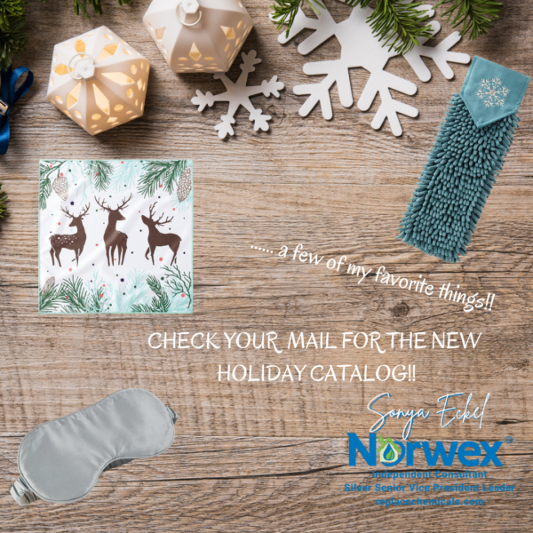 Prep for the Holidays with Norwex!