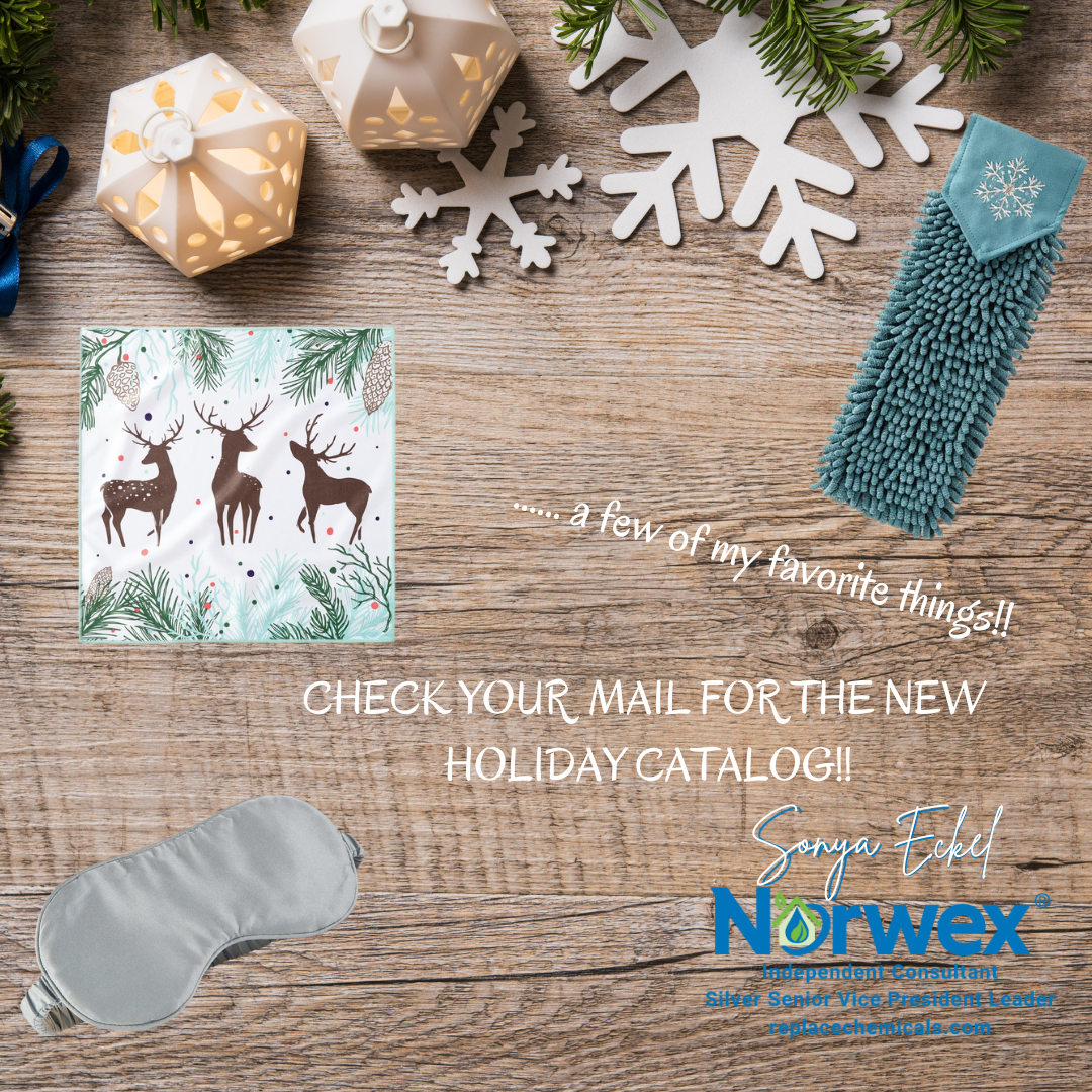 Norwex Products For Your Kitchen 