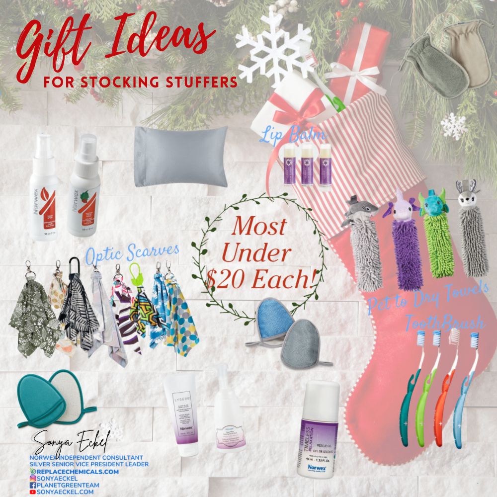 Perfect Ideas for Stocking Stuffers from Norwex