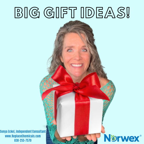 Big Gift Ideas: Norwex