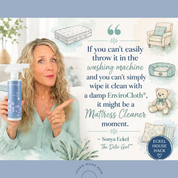 Might Be a Mattress Cleaner Moment - Sonya Eckel The Detox Girl